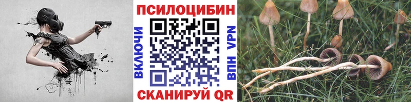 Псилоцибиновые грибы мицелий  где найти   Вичуга 