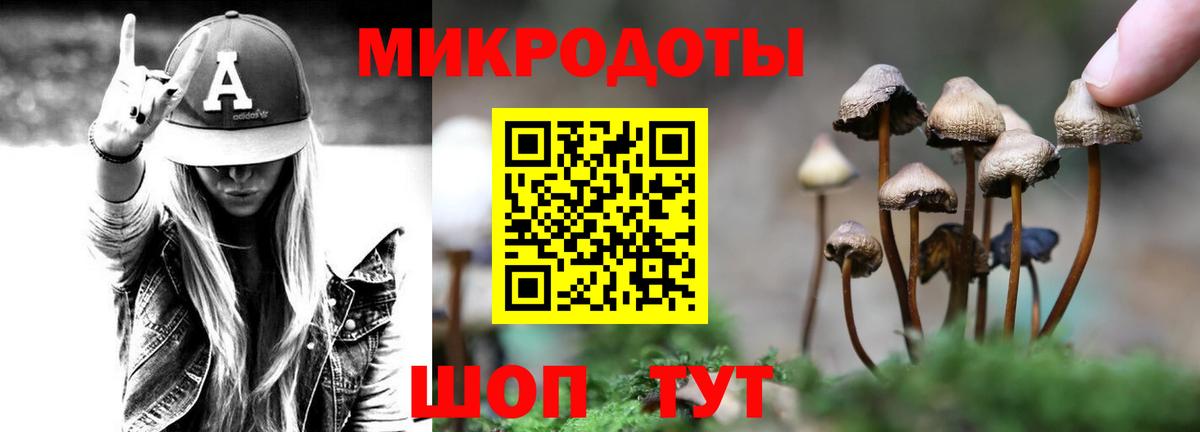 Псилоцибиновые грибы прущие грибы  Вход с VPN  Вичуга  Псилоцибиновые грибы прущие грибы 